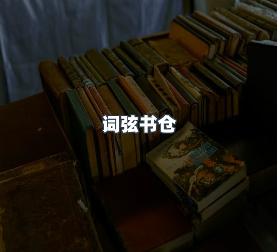 关于词弦书仓